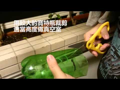  DIY(蒸餾水瓶 + 寶特瓶虹吸鐘) Mini Aquaponics System at home