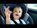 shaytards