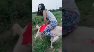 Girl Rides Her Goat
