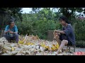 金黄的季节,载满了收获的喜悦和玉米的香甜 Corn | Liziqi Channel