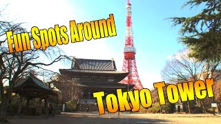 ?Tokyo Guide Ep.14?HAMAMATSUCHO/TOKYO TOWER #tokyoextra #??EXTRA