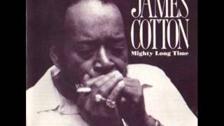 Watch James Cotton Fever video
