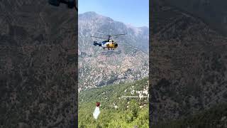 Kamov Ka-32 Helikopteri Yangına Müdahalesi Credit Muhammettakdmn