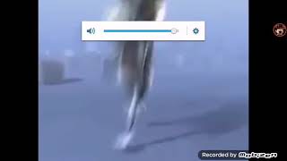 En Gıcık Ses