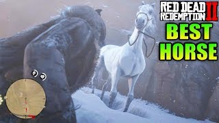 RDR2 - How to Get The Best Horse in Red Dead Redemption 2