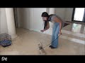 florida dog trainer
