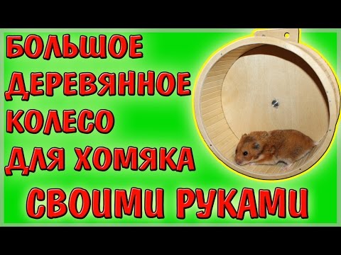 Видео как сделать колесо для хомяка своими руками Видео как сделать колесо для хомяка своими руками
