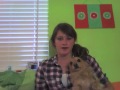 Sarah Bugging Jack The Dog