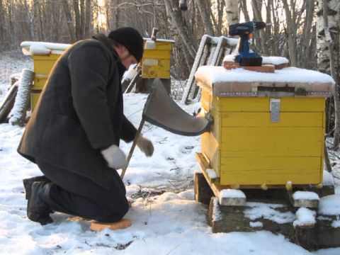 Отводки пчел как сделать отводок Отводки пчел как сделать отводок