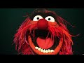 OK Go and The Muppets - Muppet Show Theme Song (Trailer)