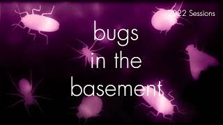 Bugs In The Basement- Spodoptera Frugiperda aka The Fall Armyworm