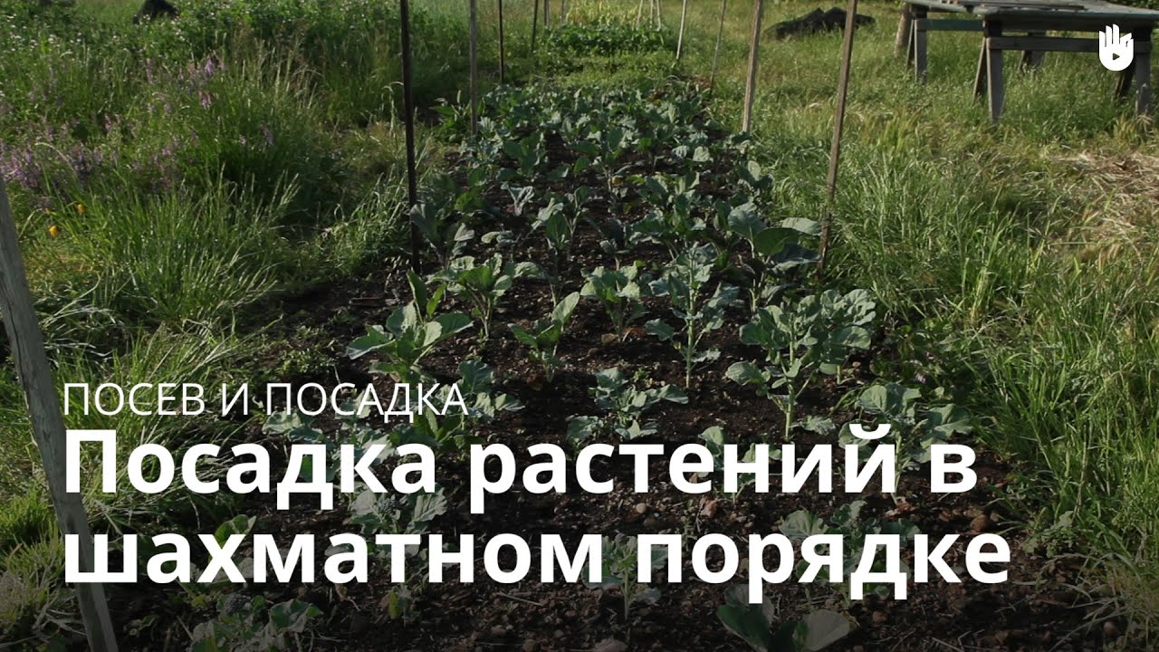 Столы из дсп своими руками Столы из дсп своими руками