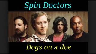 Watch Spin Doctors Dogs On A Doe video