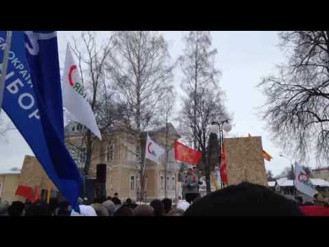 Митинг 02 02 2014 Петергоф. Люди с плакатами.