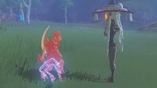 Monk Maz Koshia Vs The One Hit Obliterator - Zelda Breath Of The Wild