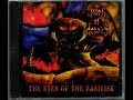Path Of Debris - Destiny