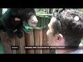 euronews science - Cambodia's endangered animals