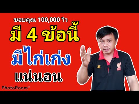 เพาะไก่ยังไงให้เก่ง