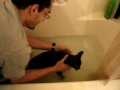 Chill Cat in the Bathtub...Rub-a-dub-dub