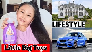 Little Big Toys (YouTuber) Lifestyle, Biography, Networth, Realage, Hobbies, |RW