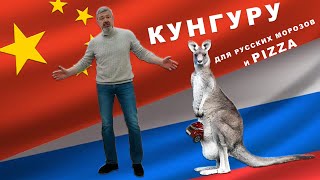 Собраннно В России / Kangaroo Electro/ Иван Зенкевич