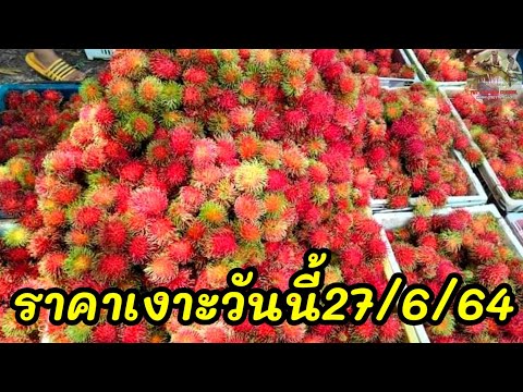 ราคาเงาะจันทบุรีถูกจน/ผลไม้ราคาส่ง/ผลไม้ตามฤดูกาล/yutthapongchanal