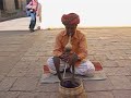 Snake Charmer