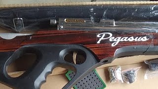 Sharp Pegasus Erthes Crome Ready Guys..