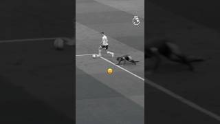 bclFhSpuPg4 Video Image
