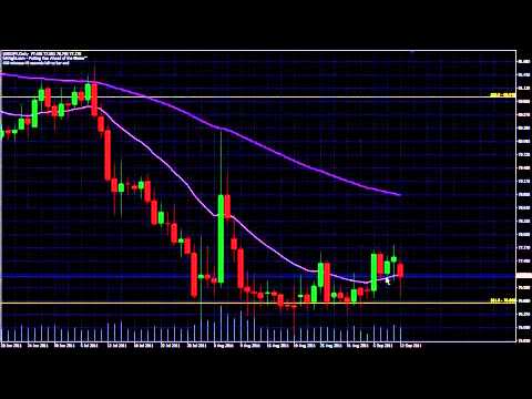 Fxknight forex