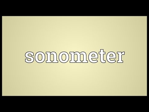 Header of sonometer