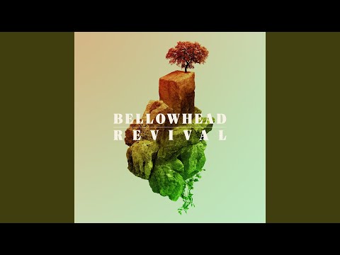Seeds Of Love Video