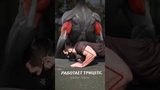 Правильный Способ Отжимания На Грудь