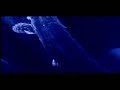 (goa trance) psygone-cosmonaut (time travel visuals)