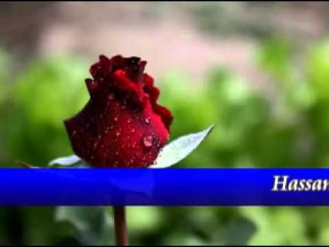 Mere Pyar Ki Umar Ho Itni Sanam ^^Romantic Duet Song^^