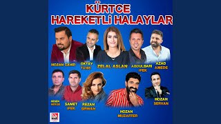 Çavreşe Feat. Rezan Şirvan
