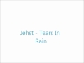Tears In The Rain Video preview
