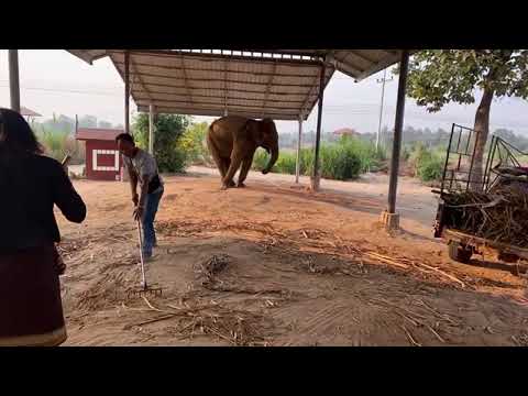 งานเข้า/ชุดซุปตาร์ขาด/คุณหมอทำความสะอาด