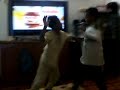 Budak Gaduh images Budak Gaduh