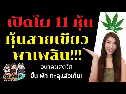 เปิดโผ 11 หุ้นสายเขียว อนาคตสดใส ขึ้นพักทะลุแล้วเก็บ | Money Hero