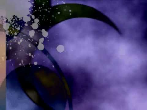 WHAT YOU NEED - by Hoku