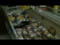 Salmonella outbreak linked to chicken infects hundreds