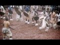 KaniBal - Africa