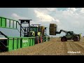 axion