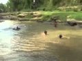 Anak Kecil Hilang ketika Berenang di kali