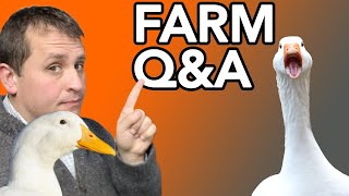 Live Farm Q&A (Horse-sized ducks, hatching geese, Toby dog!)