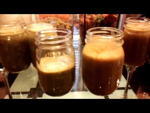 Black friday juicer specials