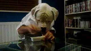 Perturbador video de un perro con cuerpo de hombre