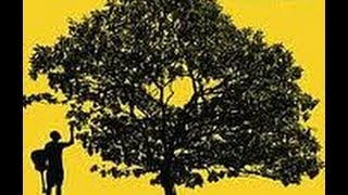 Watch Jack Johnson Belle video