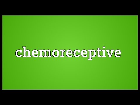 Header of chemoreceptive